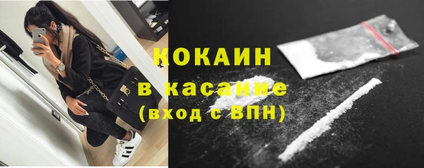 твердый Алексеевка