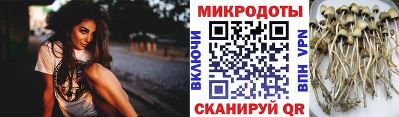 Псилоцибиновые грибы мухоморы Грайворон